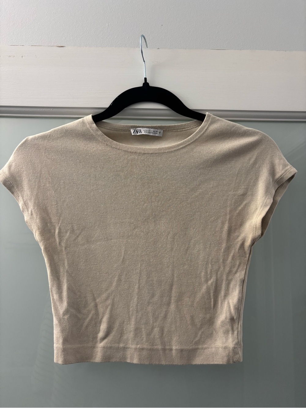 Zara Cream Crewneck Short Sleeve Crop Top